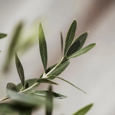 Aparthotel Appartementhaus Sennhüttn 4*