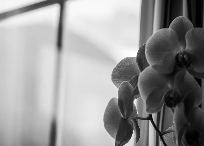 Appart hôtel Appartementhaus Sennhuettn Finkenberg