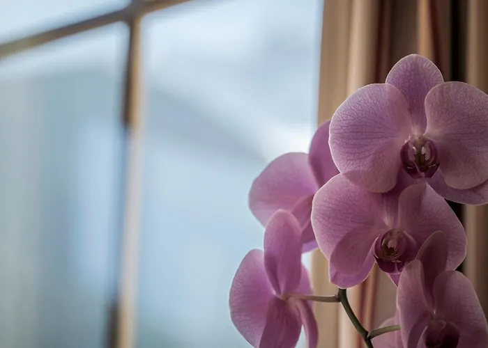 Appartementhaus Sennhuettn Appart hôtel Finkenberg