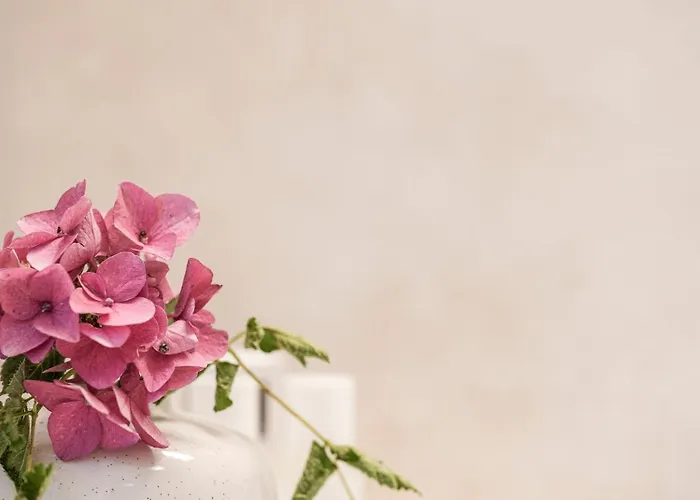 Appartementhaus Sennhuettn Appart hôtel