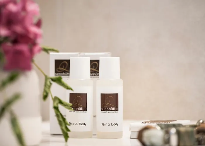 Appart hôtel Appartementhaus Sennhuettn Finkenberg