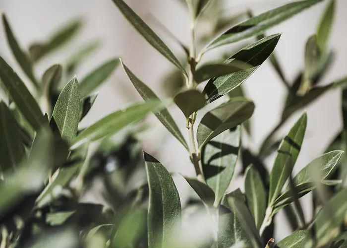 Appartementhaus Sennhuettn Appart hôtel Finkenberg