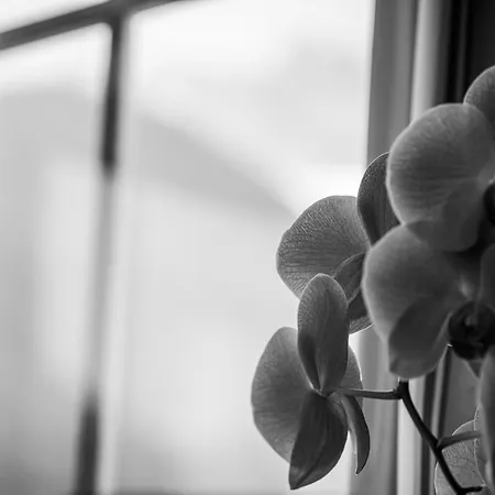 Hotel apartamentowy Appartementhaus Sennhuettn Finkenberg