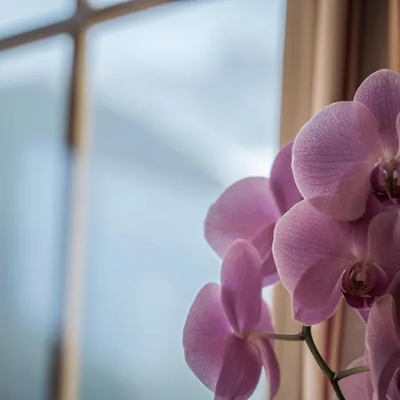 Appartementhaus Sennhuettn Hotel apartamentowy Finkenberg